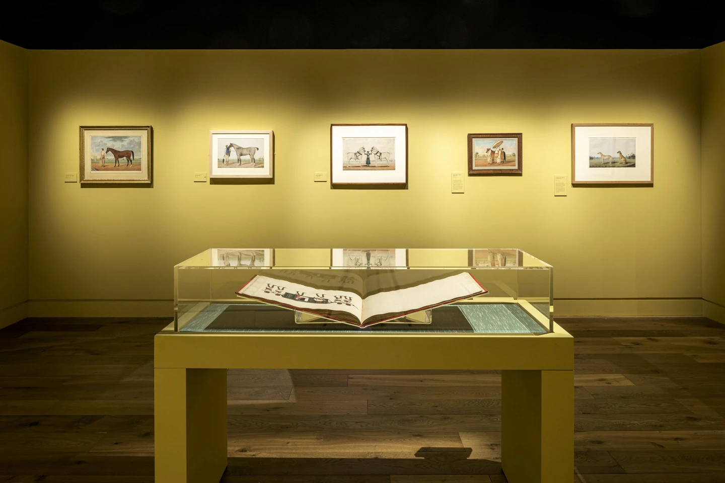 Yellow case for the Wallace Collection, photograph Gareth Gardner